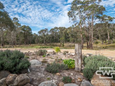 106 Warra Forest Road, Mount Mitchell