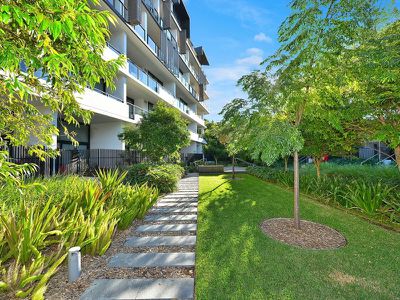 310 / 124 Terry Street, Rozelle