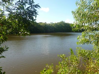 Lot 15, Slaughter Yard Road, Cooktown