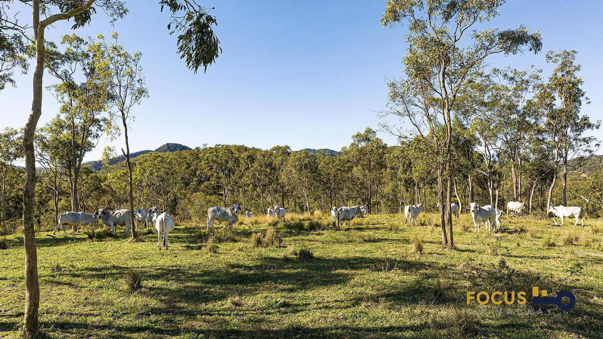 125 Lawrie Road, Sarina Range
