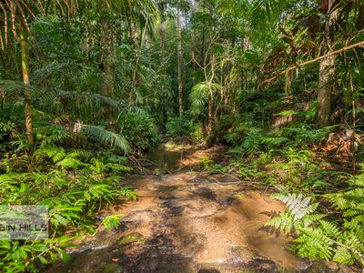 2 / 269 Upper Tuntable Falls Road, Nimbin