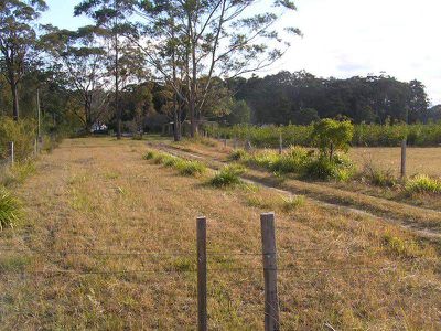 Lot 4, Princes Highway, Wandandian