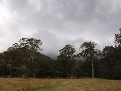 840 Wattamolla Road, Wattamolla