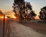 6 BUTLER STREET, Rutherglen