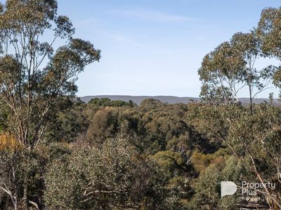 545 Muckleford-Yapeen Road, Yapeen