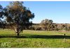 415 Davys Plains Road, Cudal