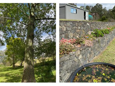 25 Sargents Road, Nimbin