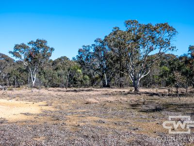 222 Strathbogie Road, Emmaville