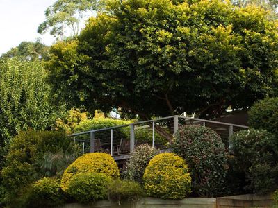 1 Cycad Place, Flaxton