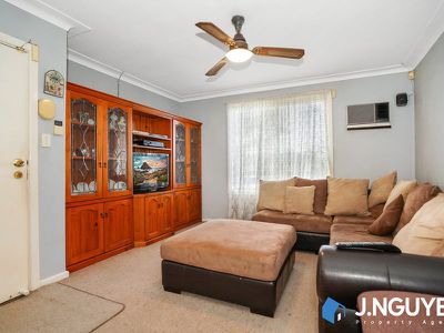 2 Barlow Crescent, Canley Heights