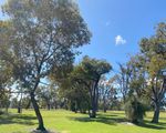 55G Coralberry Crescent, Dianella