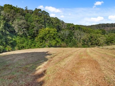1242 Tuntable Creek Road, Nimbin