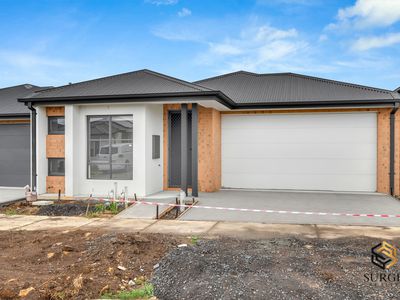 12 Petunia Crescent, Armstrong Creek
