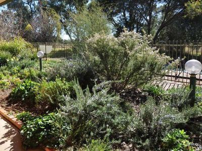 20R Dunedoo Road (Lot 132), Dubbo