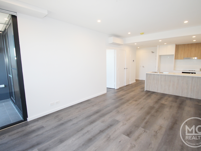 310 / 11 Raphael Street, Lidcombe