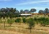 106 Lemmons Road, Borenore