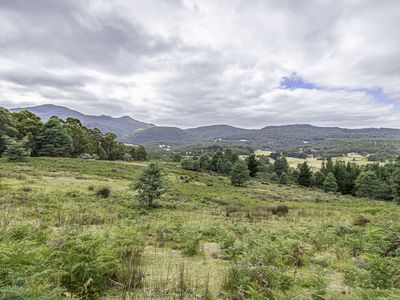 Lot 2, Fyfes Road, Mountain River