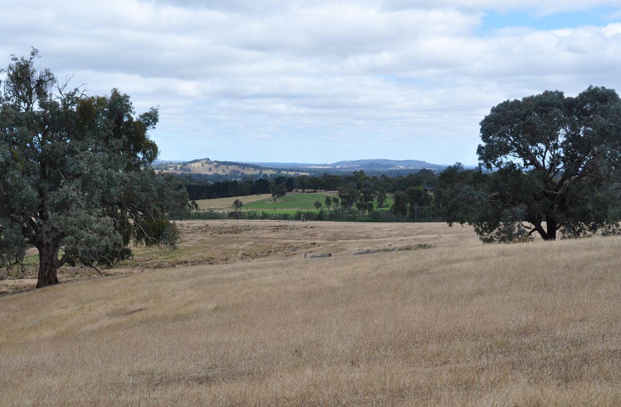 315 Mount Samaria Road, Samaria Clark & Co Real Estate