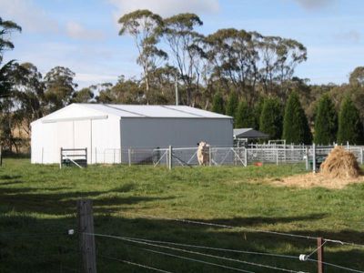 Meadow Flat