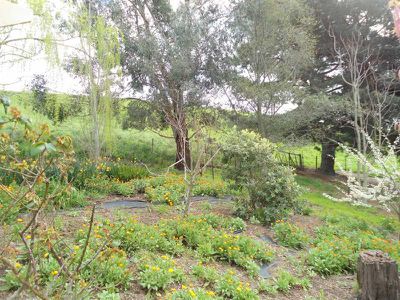 7685 Channel Highway, Cygnet