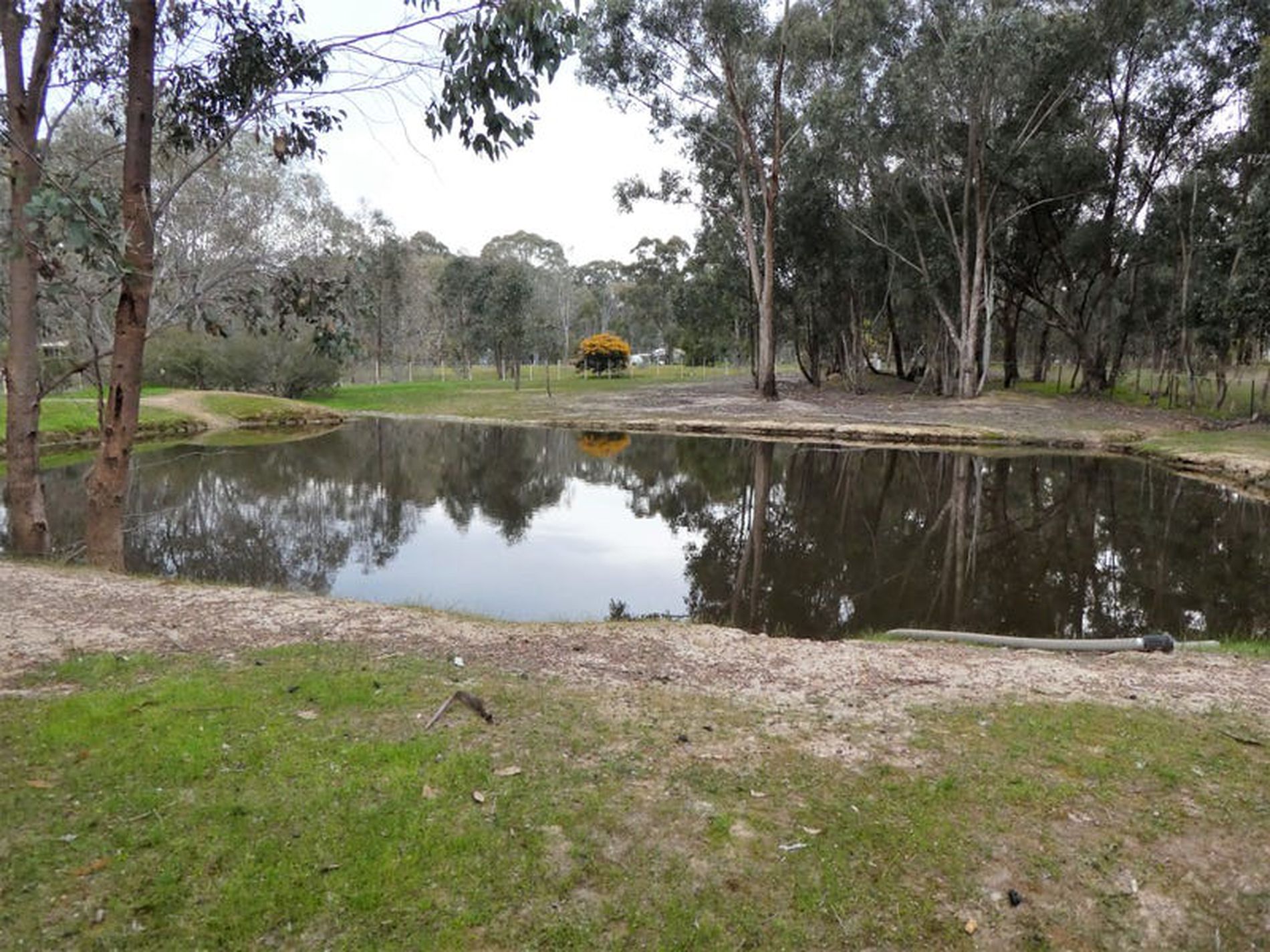 580 Telegraph Rd, Seymour