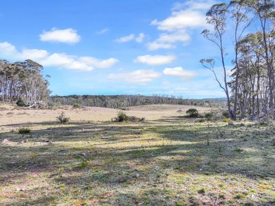 Lot 193 / 443 Back Creek Road, Mongarlowe