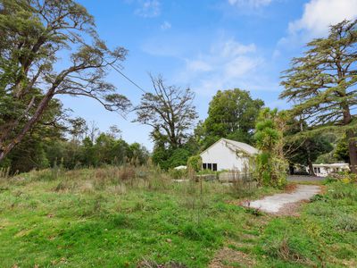 21 Rata Street, Birchville