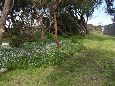 6 Parklands Terrace, Beachport