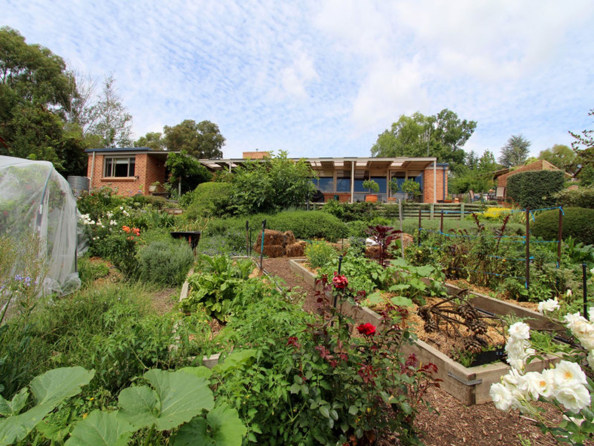 42 Napier Street, Windradyne