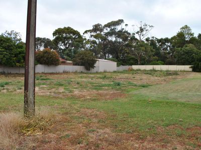 36 Monash Terrace, Millicent