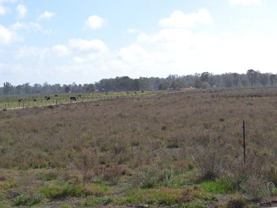 11 Begelhole road, Murrabit, Gonn Crossing