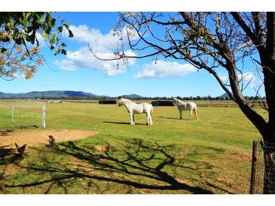 187 Quia Road, Gunnedah