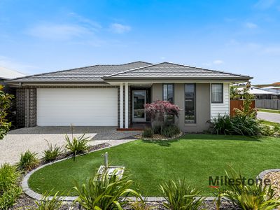 17 King Parrot Blvd, Drouin