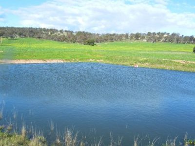 Lieschke Road, Walbundrie
