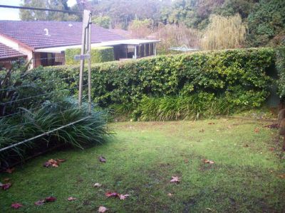 Ourimbah