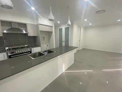 209 Dalmatia Avenue, Edmondson Park