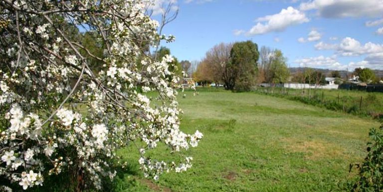 10 Sevens Avenue, Euroa