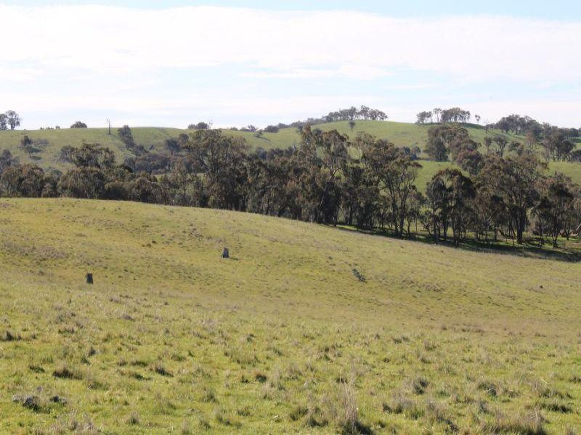 545 Hardings Lane, Tooborac