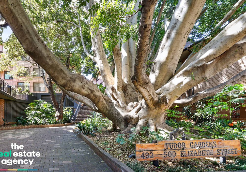 37 / 492 Elizabeth Street, Surry Hills, Surry Hills - Image 1