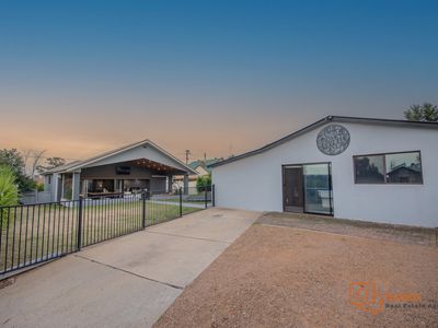 Dubbo
