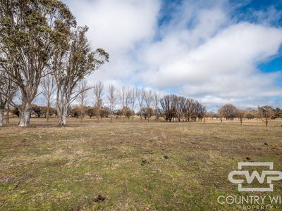 Lot 6,  Llangothlin Road, , Guyra
