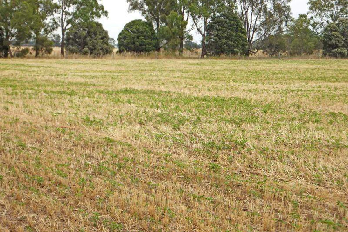 617 McEwen Road, Kyabram