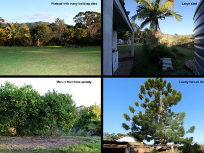 7 Tulsi Lane, Nimbin