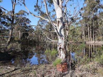 Lot 3  Lot 3  Bungoona Court, Cornella
