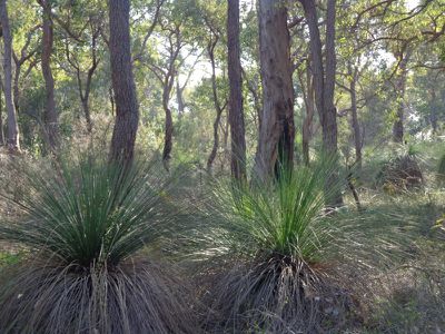 350-390 Robinson Road, Mahogany Creek