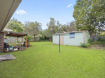 11 Anchusa Street, Kingston