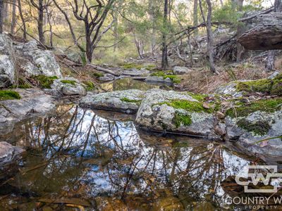 Lot 140, / Dellwood Road, Deepwater
