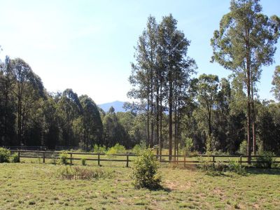 603 Tallowa Dam Road, Kangaroo Valley
