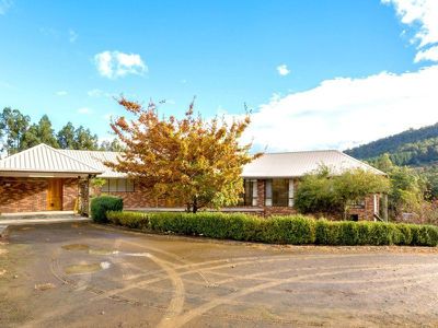 534 Mountain River Road, Mountain River