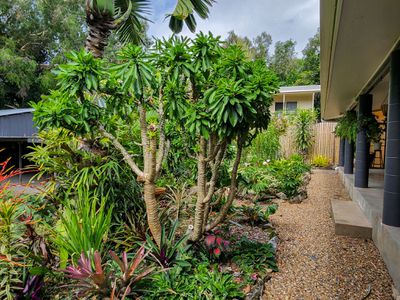 4 Ann Street, Cooktown